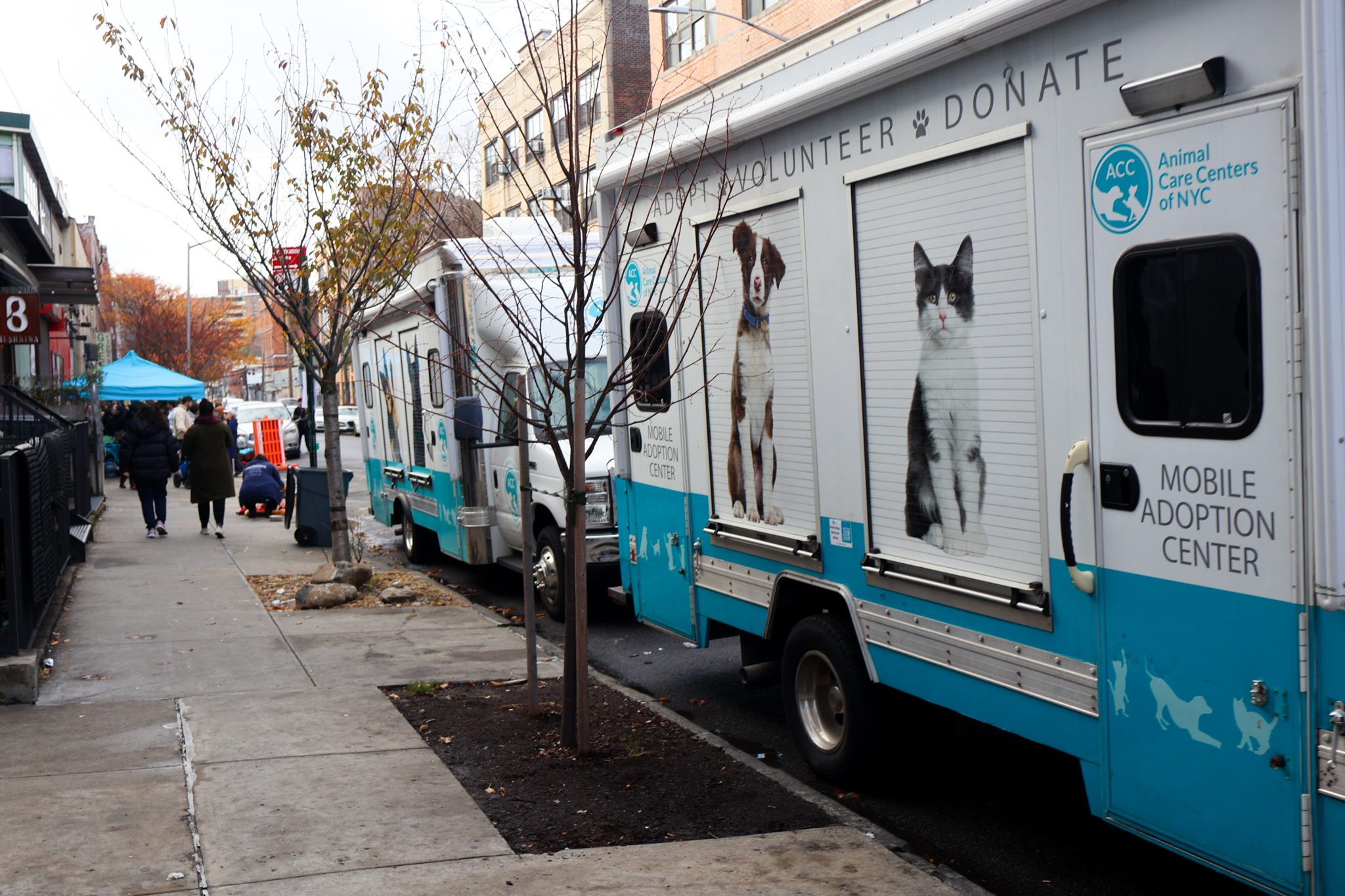 An Animal Care Centers of NYC mobile adoption truck parked along a Brooklyn sidewalk, its shutters printed with photos of an adoptable dog and cat above the words Adopt, Volunteer, Donate