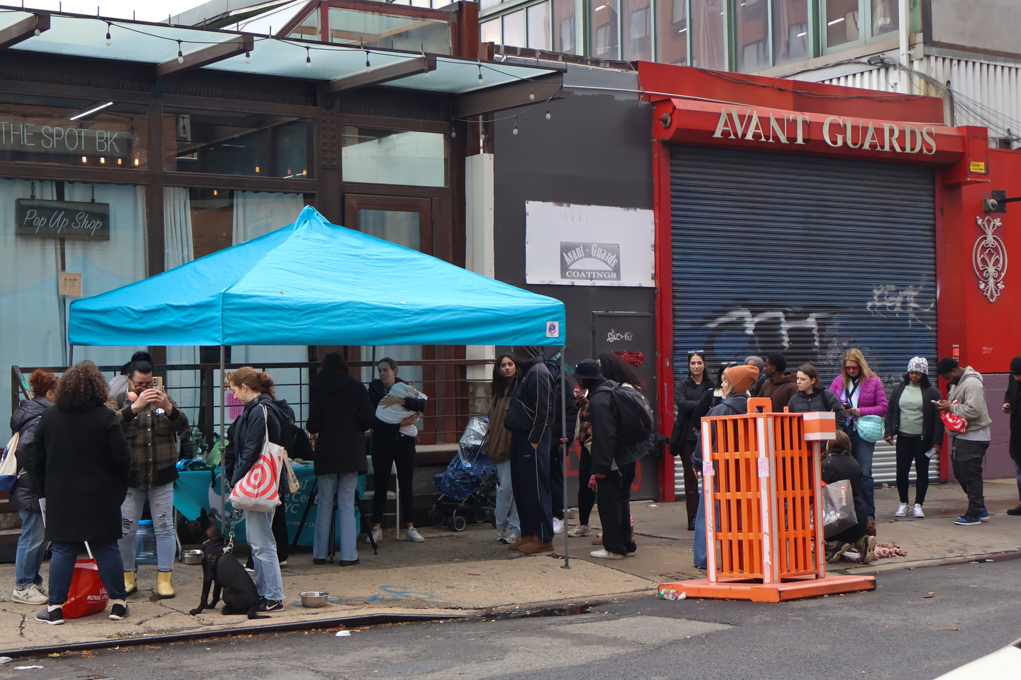 A crowd gathered under a blue pop-up tent on a Brooklyn sidewalk at an Animal Care Centers of NYC adoption event, with a leashed puppy sitting at the front of the crowd