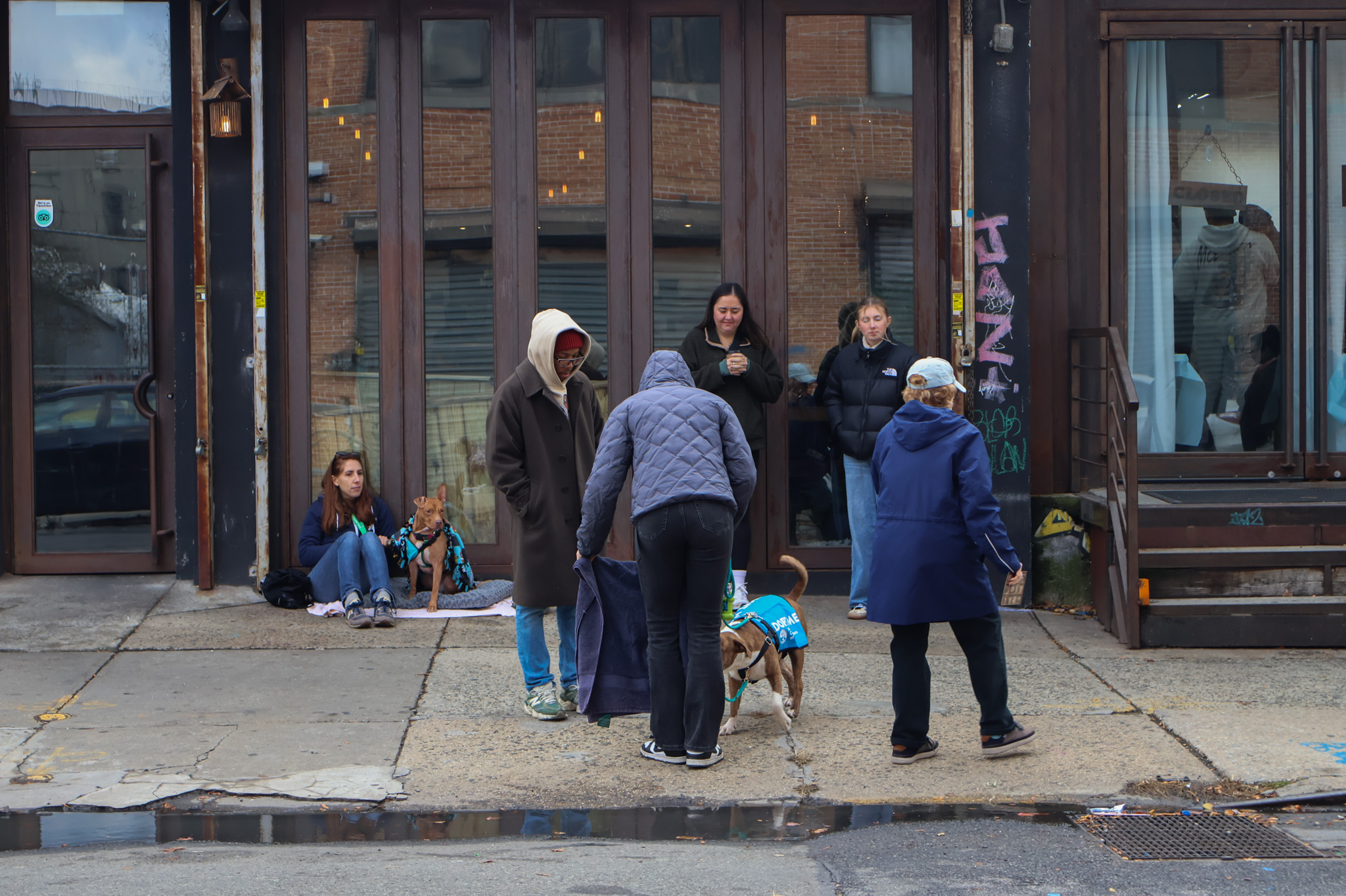 Visitors gathered around a dog in a teal vest outside a storefront, while another dog rests on a blanket in the doorway behind them
