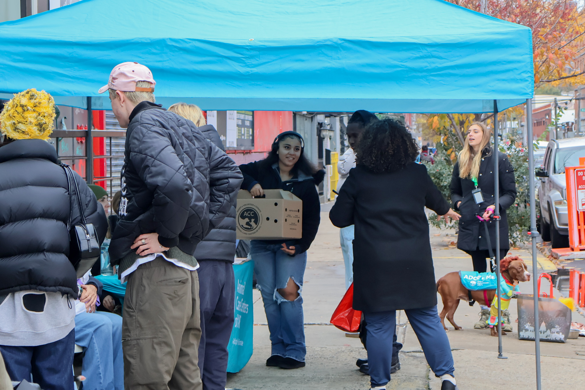 A volunteer carrying an Animal Care Centers of NYC cardboard carrier through a crowd gathered under the adoption tent