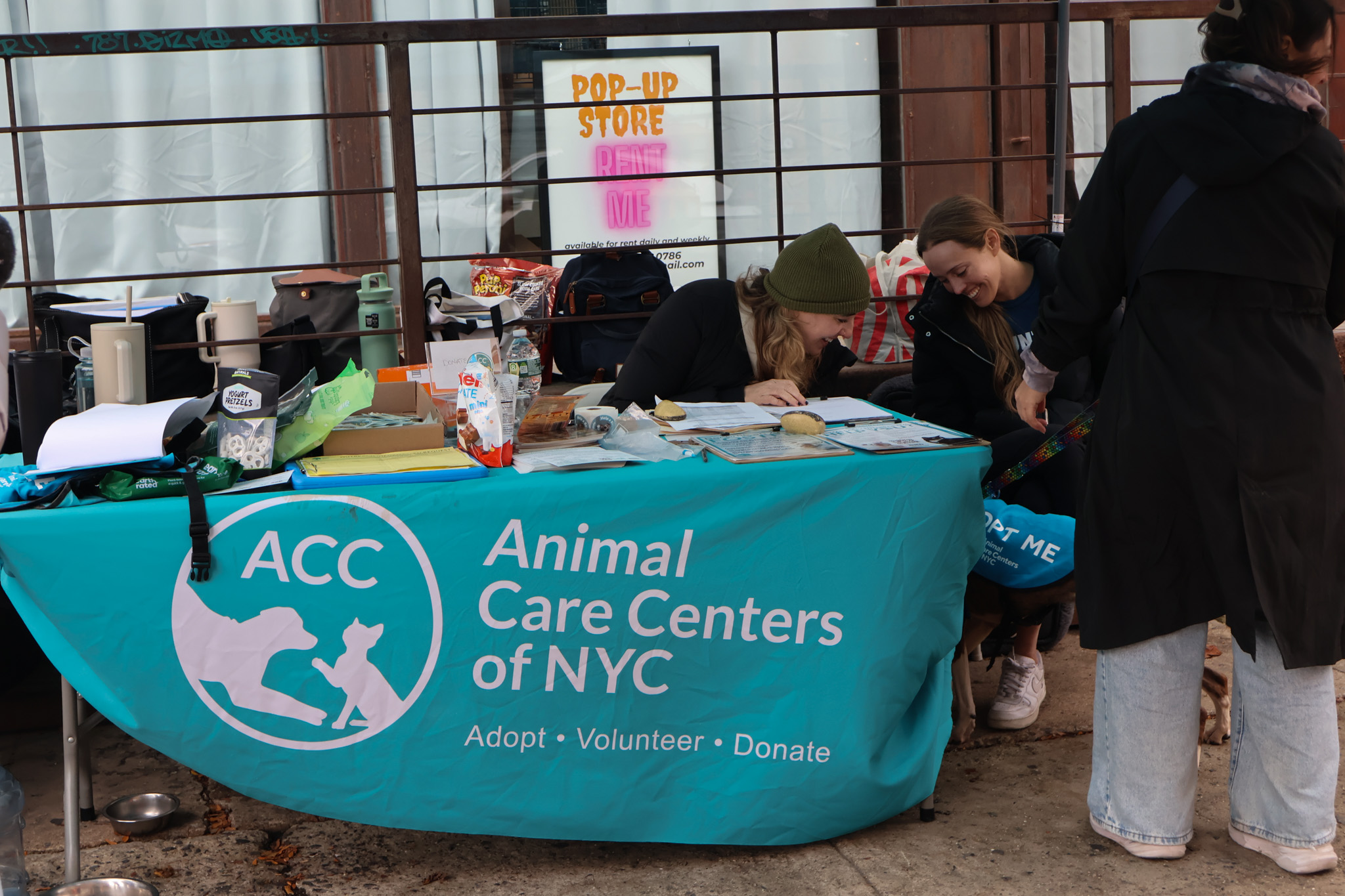 Volunteers helping a visitor fill out adoption paperwork at an Animal Care Centers of NYC table