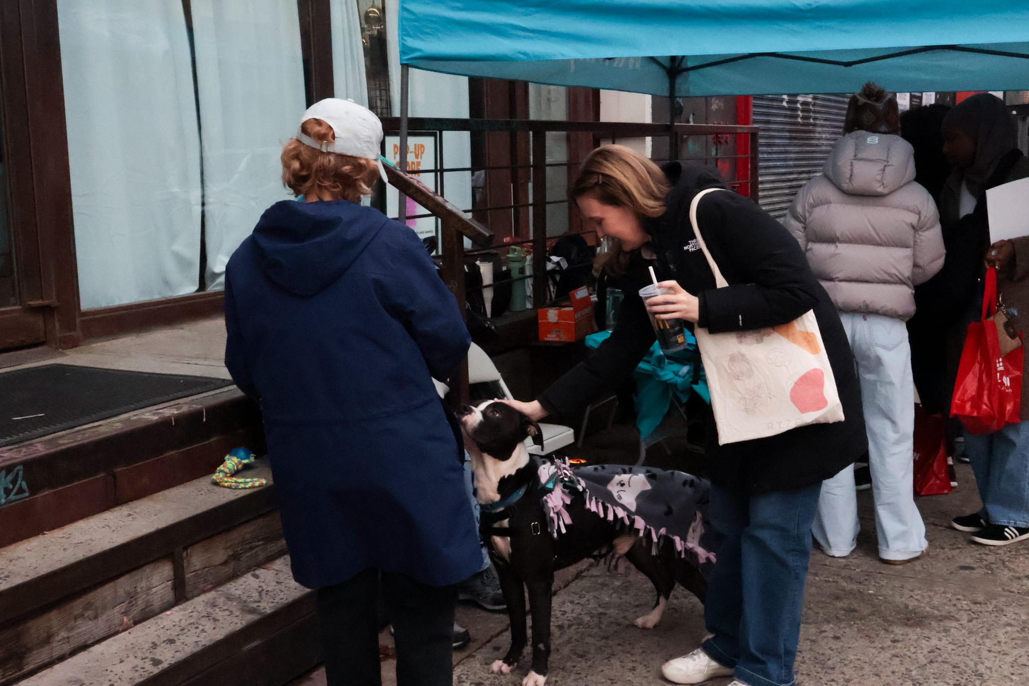 A passerby in a white cap bending down to pet a black and white dog wearing a fleece blanket coat outside a pop-up shop