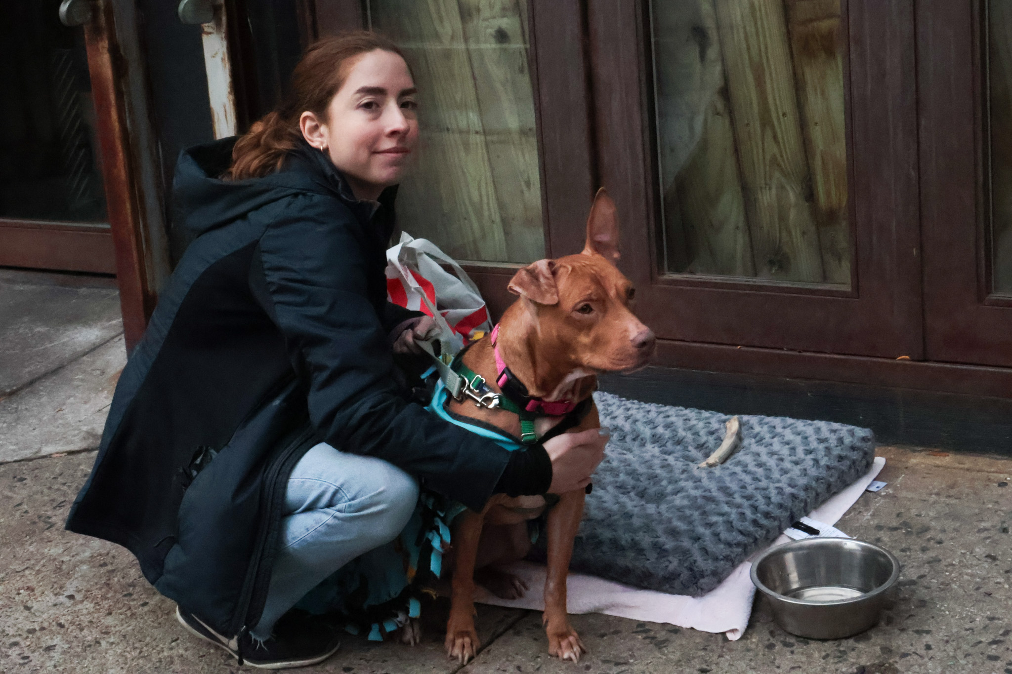 A volunteer kneeling beside a dog seated on its own bed and water bowl outside a storefront