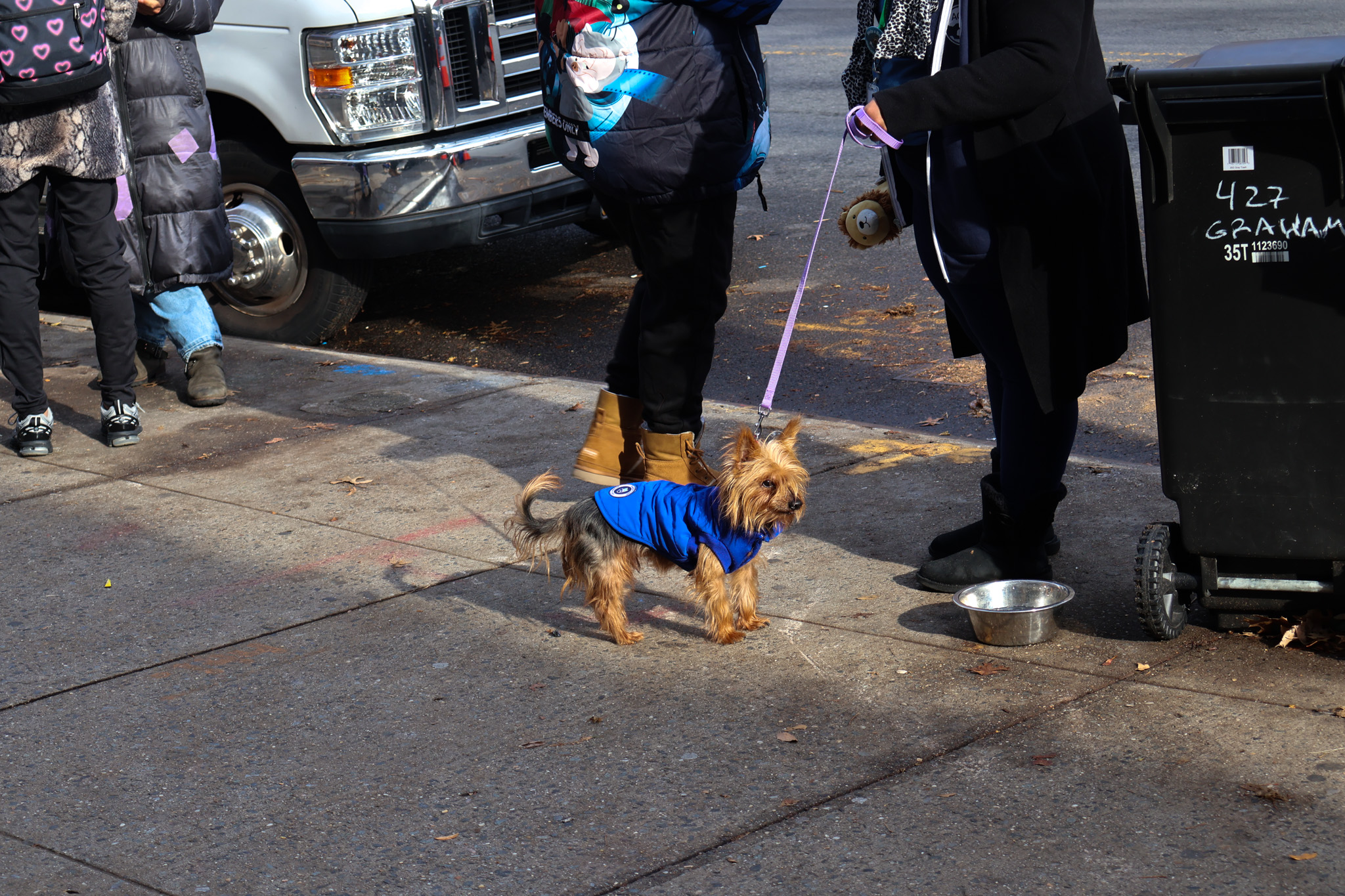 A small dog in a blue coat on a leash, standing on the sidewalk beside a line of visitors