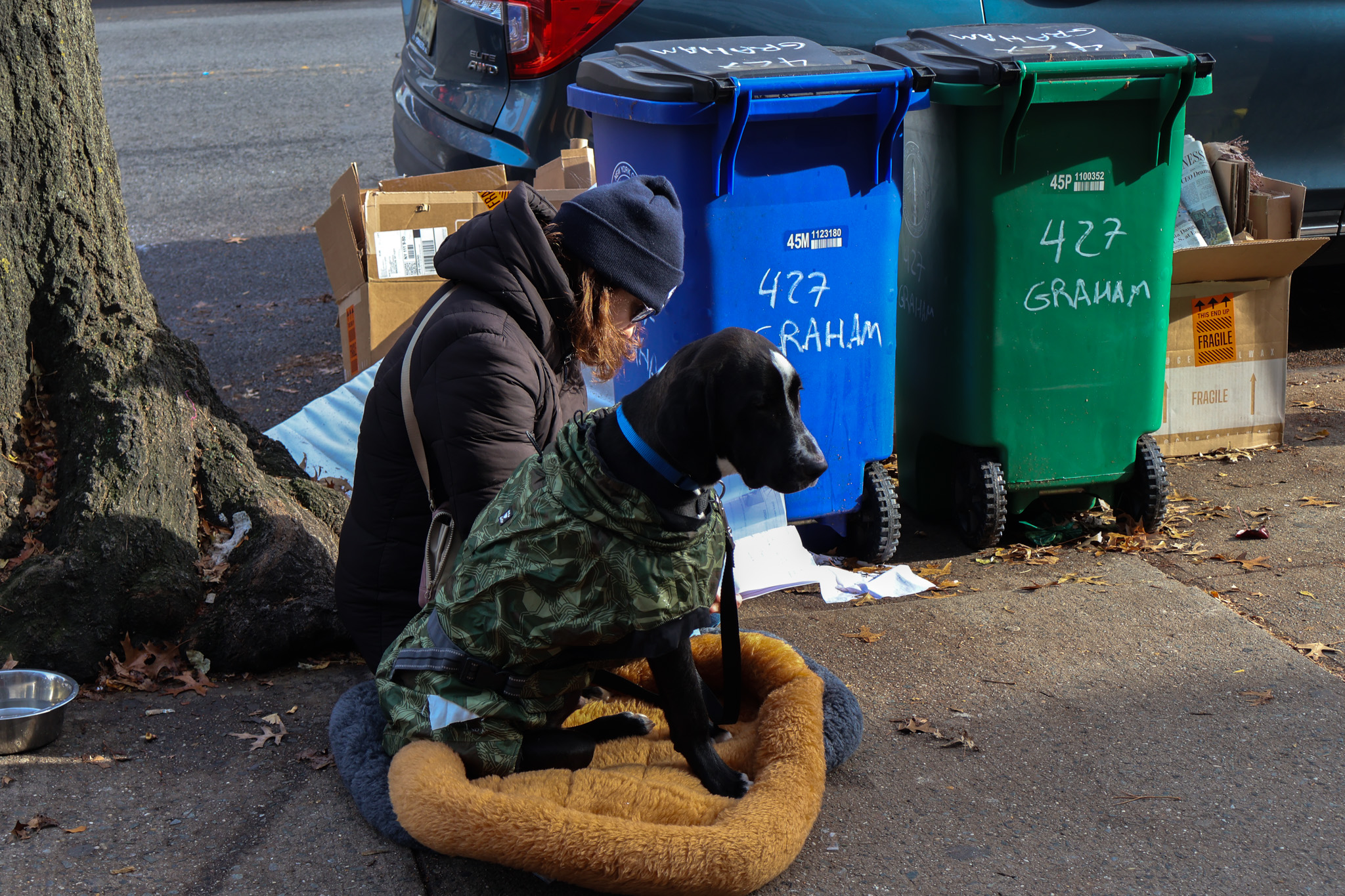 A volunteer crouched beside a dog in a camouflage coat, resting on a dog bed next to a row of household trash cans on an ordinary residential sidewalk