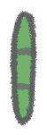Full green patience bar icon