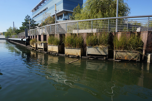 constructed wetland examples by NCA